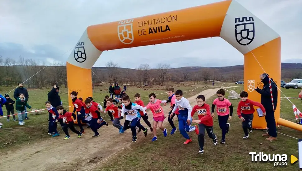 Noticias Arévalo, Sucesos Candeleda, Ayuntamiento El Tiemblo, Diputación de Ávila, Sucesos Arenas de San Pedro, Actualidad Cebreros, Las Navas del Marqués