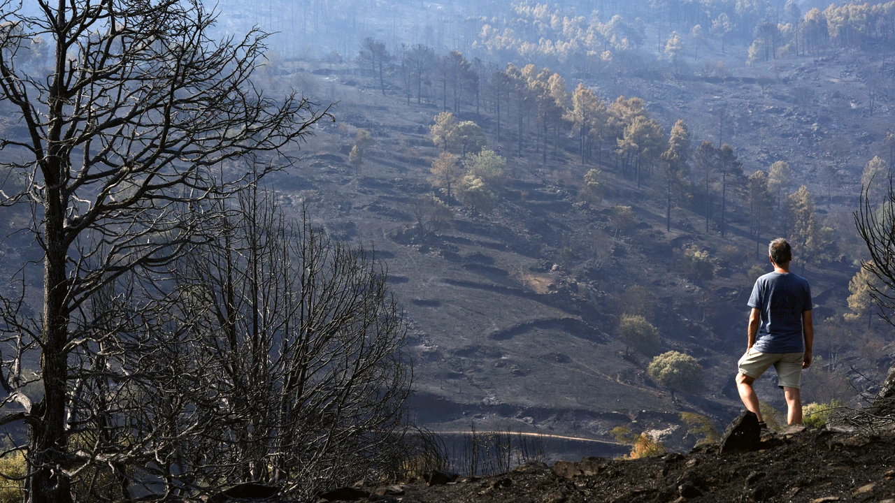 Madrid Ávila incendios