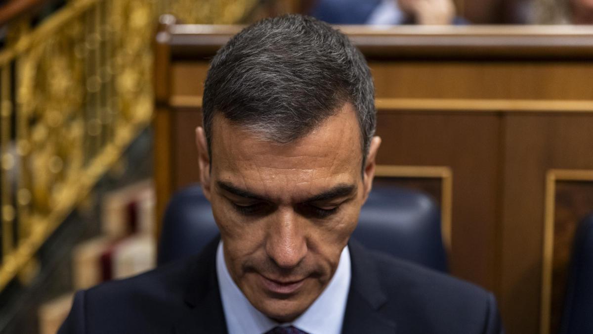 Mario Pomini España