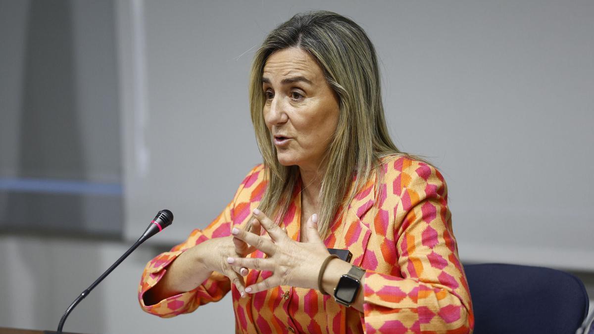 Milagros Tolón