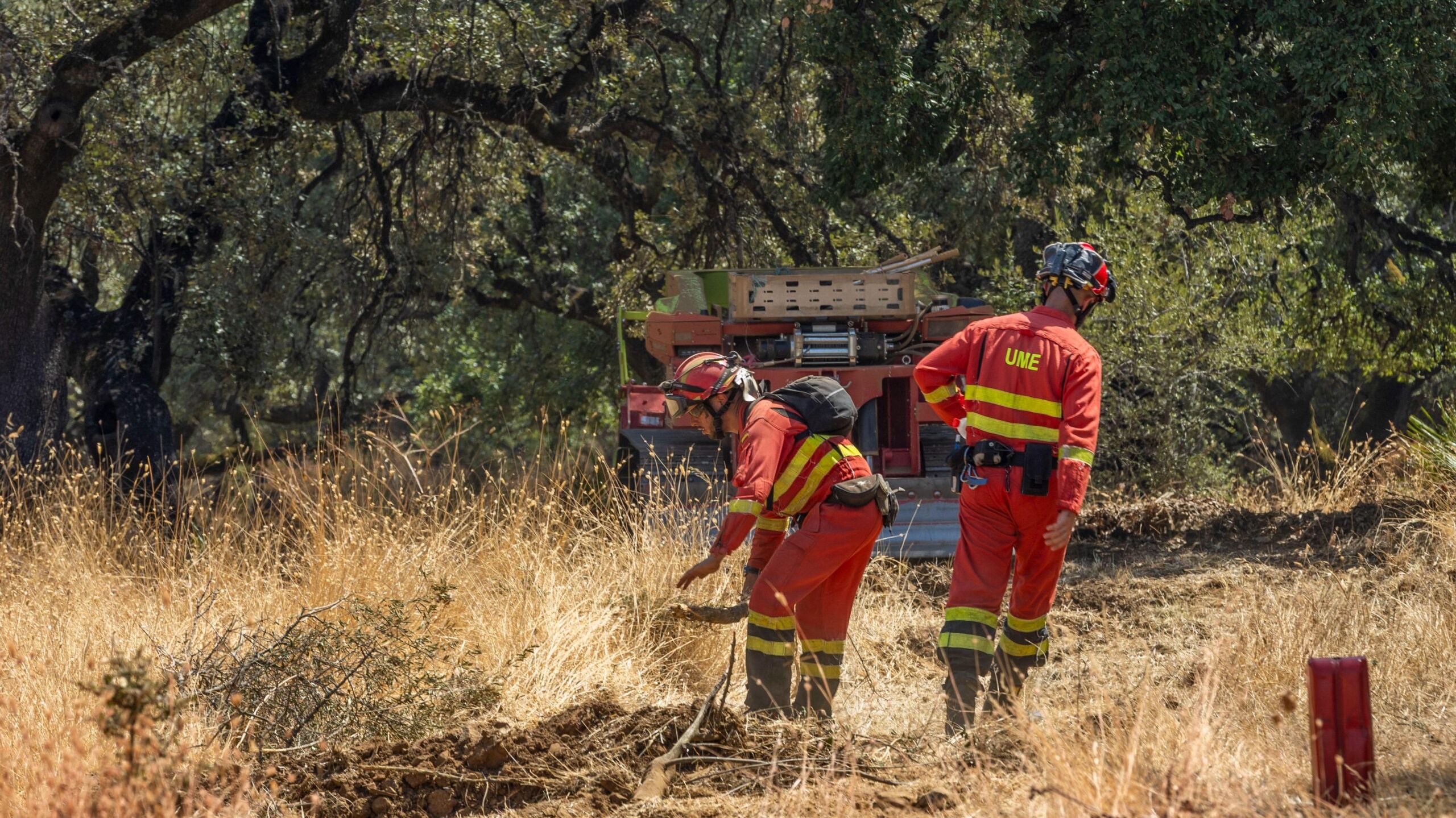 Incendios en Huelva y Las Peñas de Riglos: Un Desafío Contra el Fuego que Devasta Comunidades enteras
