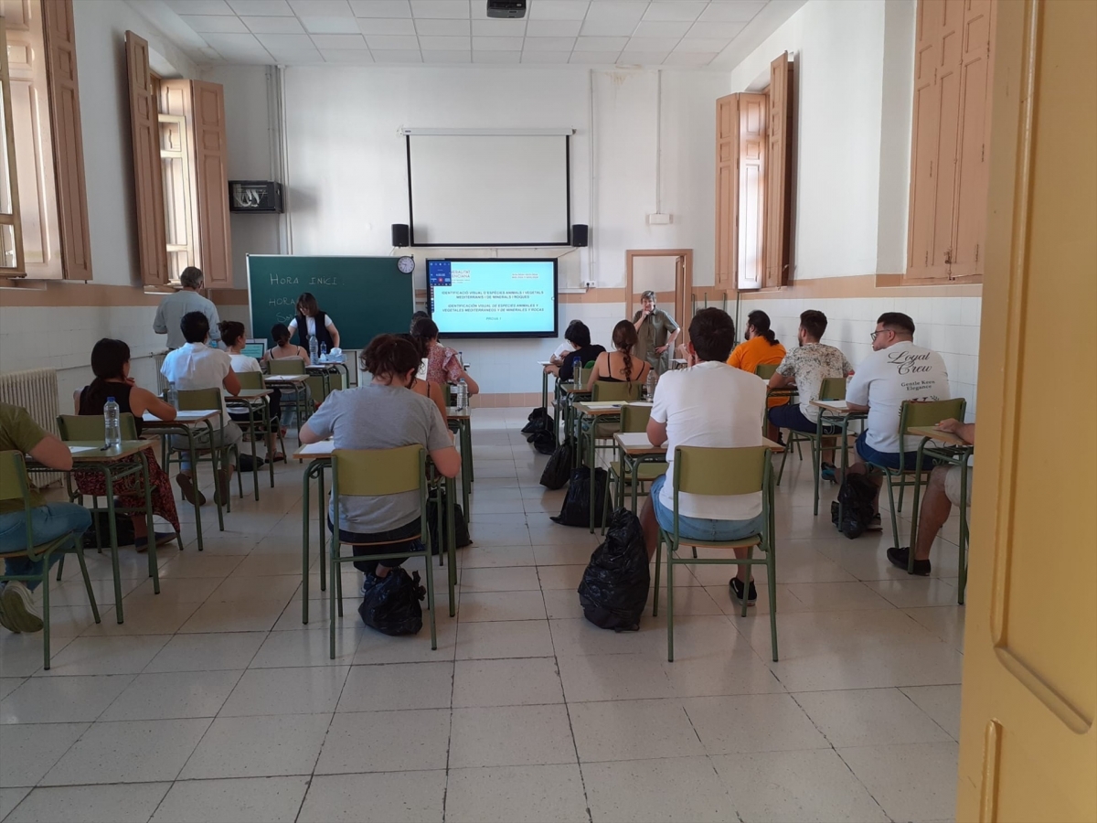 CSIF insta a Educación a aumentar el número de plazas en la próxima oposición y a modificar los criterios del proceso